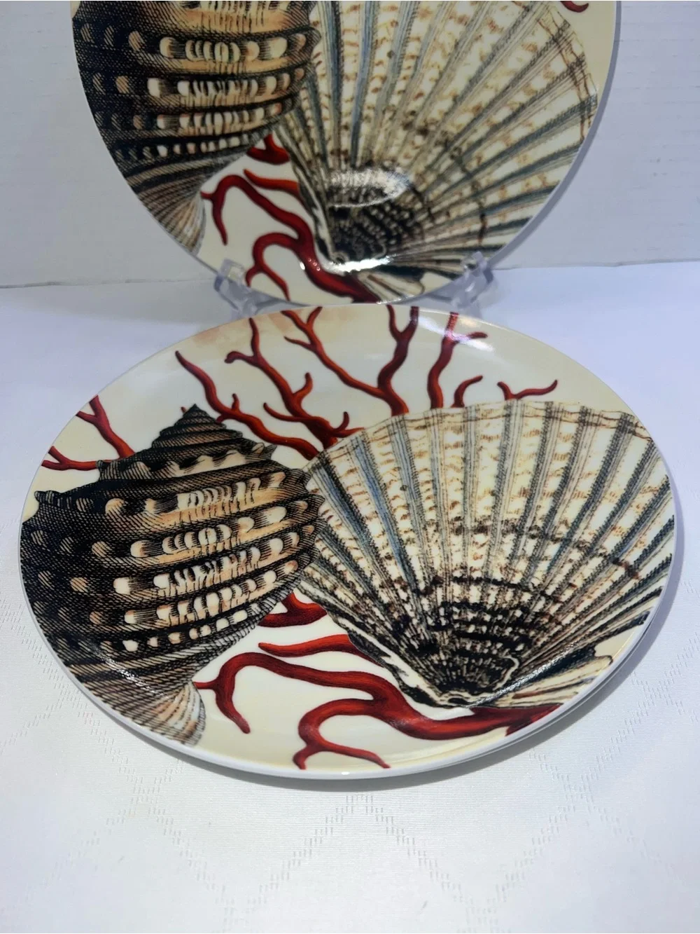 🔥🔥🔥 Pottery Barn Coastal Curiosity Salad/Dessert Plates Red Coral Seashells Set